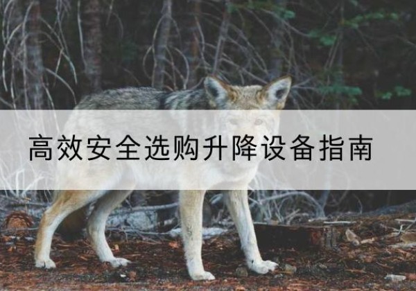 特克斯升降货梯厂家推荐-*安全选购升降设备指南