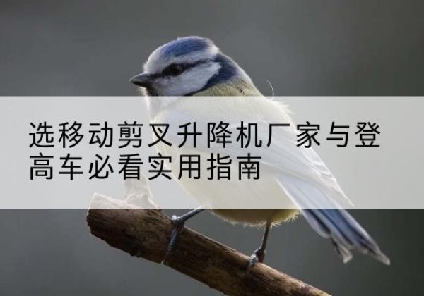 特克斯电动升降机厂家-选移动剪叉升降机厂家与登高车必看实用指南