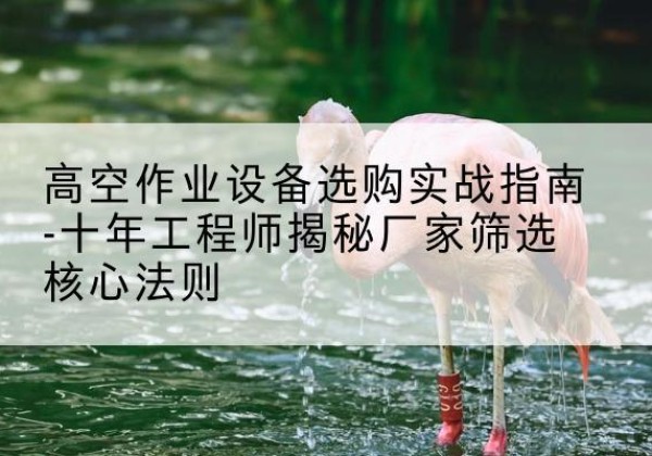 特克斯剪叉式升降机厂家-高空作业设备选购实战指南-十年工程师揭秘厂家筛选核心法则
